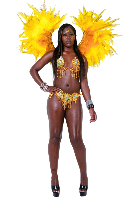 Sunshine Carnival Set
