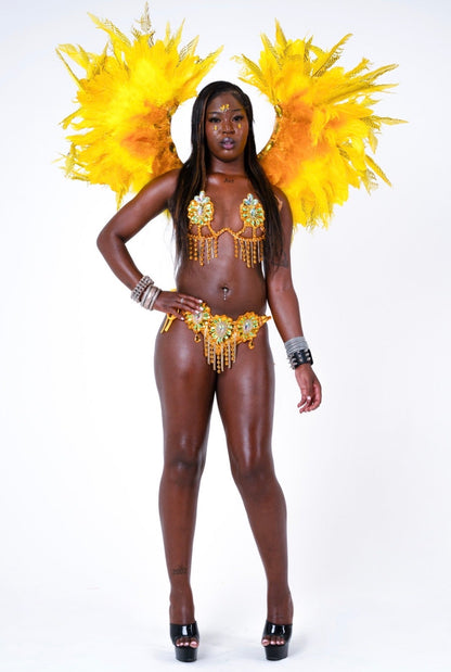 Sunshine Carnival Set